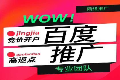 竞价广告投放策略，代运营公司的成功实践